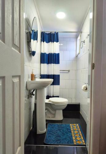 a bathroom with a sink and a toilet and a shower at Donde Mauricio in Coihaique