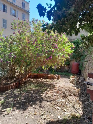Joli studio avec jardin proche de la gare