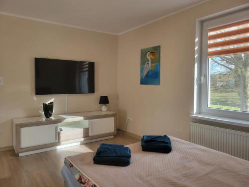 a bedroom with a bed and a flat screen tv at Apartament Harsz in Harsz