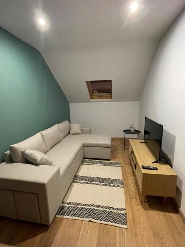Annecy city center apartment