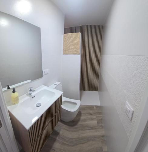 a bathroom with a sink and a toilet and a mirror at Casa Alba del Cabo in Los Albaricoques