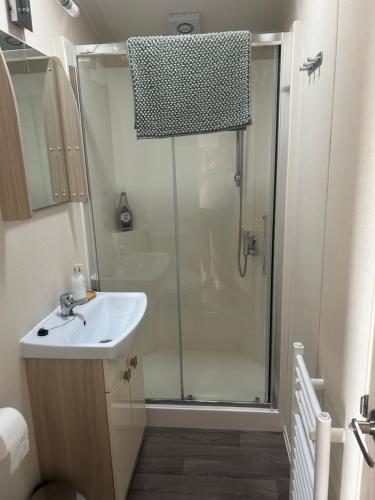 a bathroom with a shower and a sink at Hares Haven pet friendly sleeps 6 in Patrington