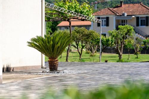 a palm tree in the middle of a courtyard at Apartments Ivo Bozinovic in Tivat