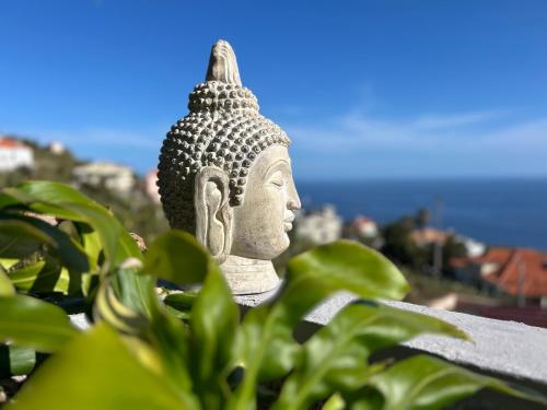 a statue of a buddha sits behind some plants at Indigo Star House in Ribeira Brava