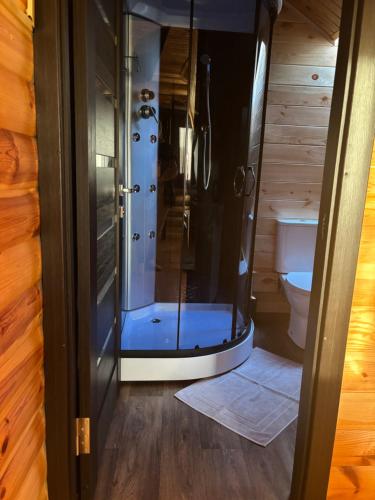 a bathroom with a shower and a toilet at Woodhouse Svitiaz in Svityazʼ