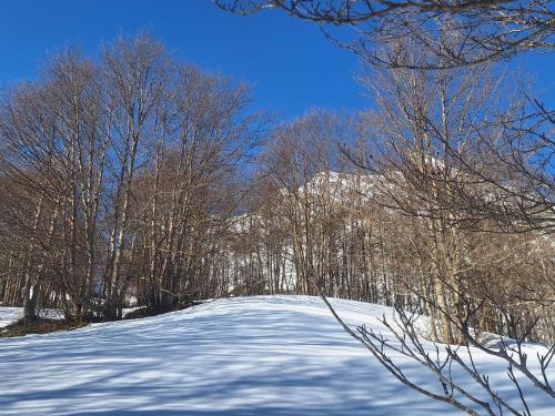 a snow covered slope with trees and a blue sky at A la montagne in Eaux-Bonnes