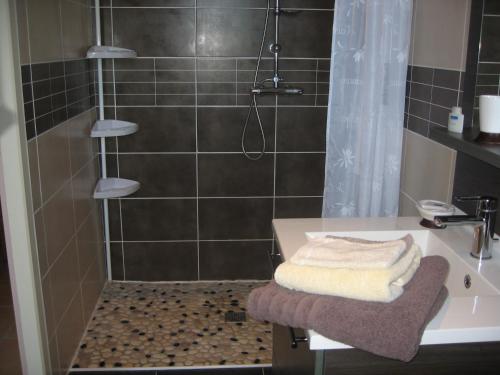 a bathroom with a shower with a sink and a shower at La brèche fleurie in Cricquebœuf