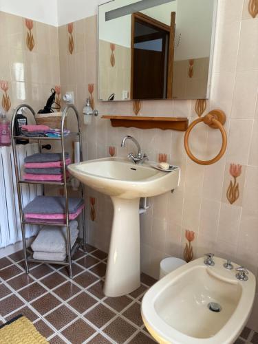 a bathroom with a sink and a mirror and a toilet at Le petit gîte in Saint-Étienne-le-Laus