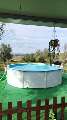 a large swimming pool in a yard at Lodge Rabasquinha in Fronteira