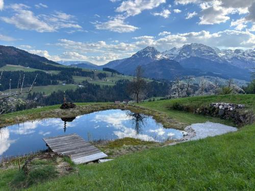 a small pond in a field with mountains in the background at Hörndlhof in Abtenau