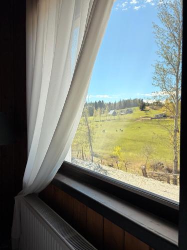 a window with a view of a field at Casa de Lângă Mesteceni in Dealu Negru