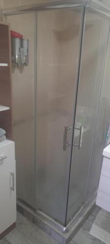 a shower with a glass door in a bathroom at Quinta la ponderosa in Brandsen