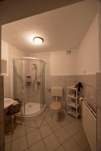 a bathroom with a shower and a toilet and a sink at Ferienpark Buntspecht in Pruchten