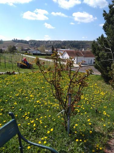 a tree in the middle of a field of yellow flowers at Haus Orleander in Rehgraben