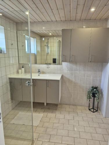 a bathroom with a sink and a shower and a mirror at Annes Hus in Rødekro