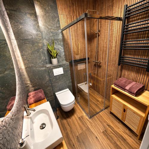 a bathroom with a shower and a toilet and a sink at Vistula Apartment in Ustroń