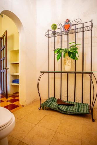 a room with a pot with a plant on the wall at Historical Green House Campeche in Campeche