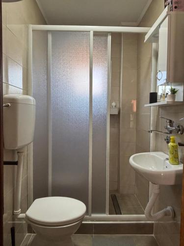 a bathroom with a shower and a toilet and a sink at Tara Nest in Kaludjerske Bare