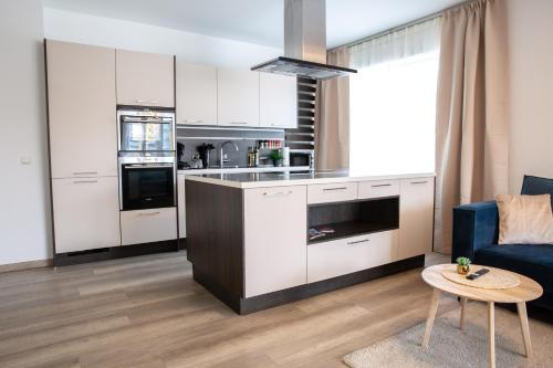 LINZ BASE SUITE Business and Family, 2Bedrooms and Workspace
