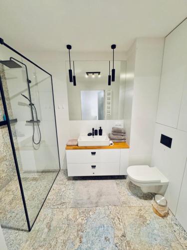a bathroom with a sink and a toilet and a mirror at Apartament Nieznany Bór in Hajnówka