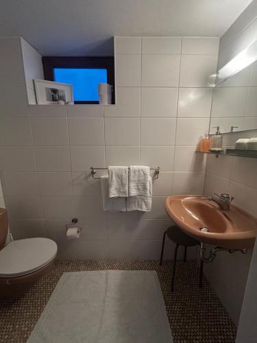 a bathroom with a toilet and a sink at Ferienhaus Rotzinger in Hinterzarten