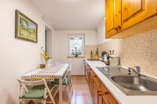 a kitchen with a sink and a counter at Két Fenyőfa Vendégház Vízparti Nyaraló in Békésszentandrás