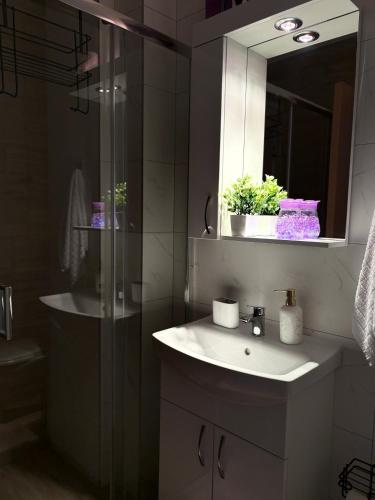 a bathroom with a sink and a shower and a mirror at Jefimija Apartman Sokobanja in Soko Banja
