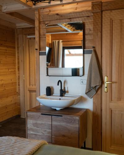 a bathroom with a sink and a mirror at Sohana Chalet I Design I Apartment and Guest Rooms I Sauna I AC in Kappel-Grafenhausen