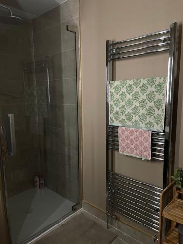 a shower with a glass door and a pink towel at Anna and Jims Cottage in Claudy
