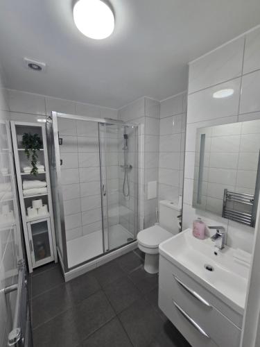 a bathroom with a shower and a toilet and a sink at Spacious 2BR with ensuite and AC unit and balcony near Heathrow in Cranford