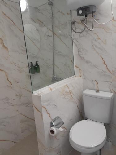 a bathroom with a white toilet and a shower at Déjalo ser in Nueva Helvecia