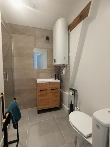a bathroom with a sink and a shower and a toilet at Two-bedroom apartment with air conditioning in Vichy