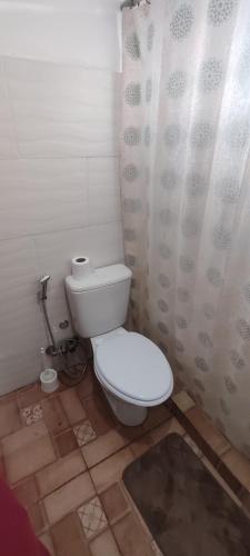 a bathroom with a toilet and a shower curtain at Cabaña Dos Pinos in Durazno