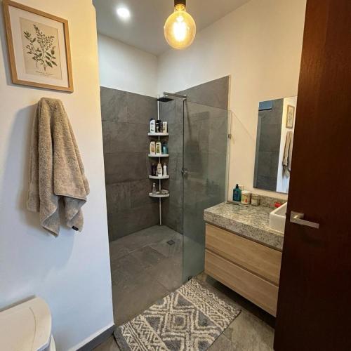 a bathroom with a shower and a sink at Departamentos Nütuuk in Mérida