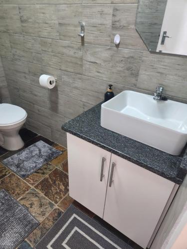 a bathroom with a sink and a toilet at The Studios on Smuts in Ermelo
