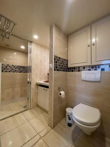a bathroom with a toilet and a walk in shower at Maison cozy 2p- Jardin - Paris à 5 min - Métro in Maisons-Alfort