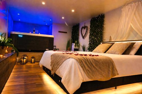 a bedroom with a bed with red roses on it at Le Bain des VioIettes - Grand jacuzzi privatif in Dole