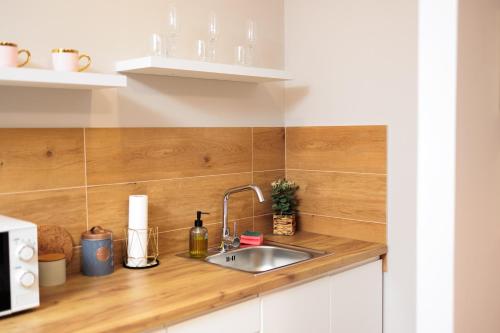 a kitchen counter with a sink and wooden walls at KB House apartman in Malý Horeš