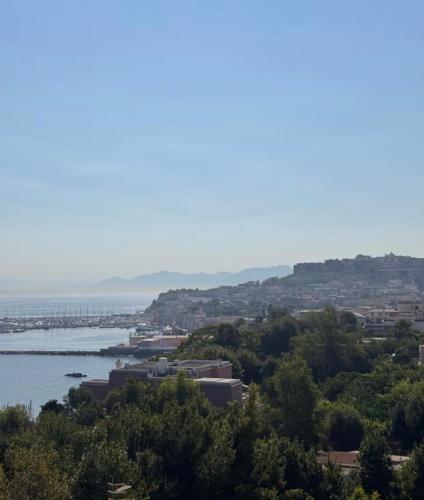 a view of a city and a body of water at Maison Artista in Procida