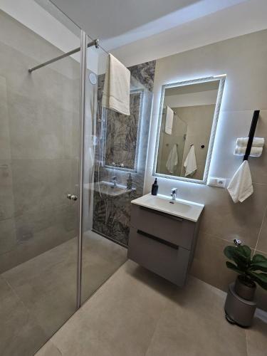 a bathroom with a shower and a sink and a mirror at Stadtoase Wels III in Wels
