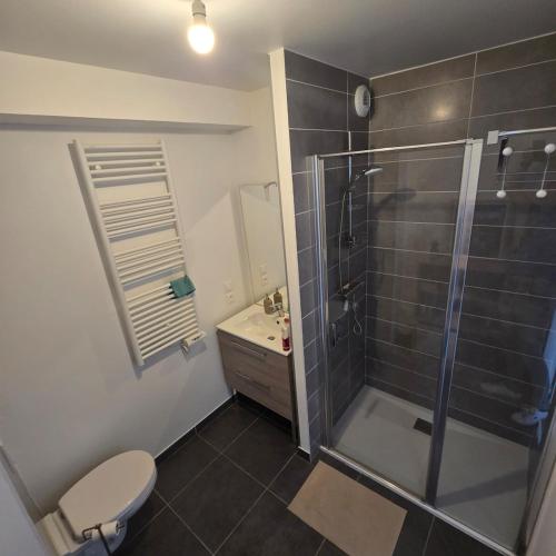 appartement Annecy-le-Vieux vue lac