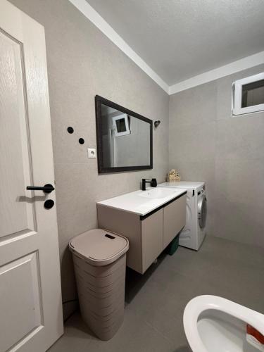 a bathroom with a sink and a toilet and a mirror at Villa Marea in Nin