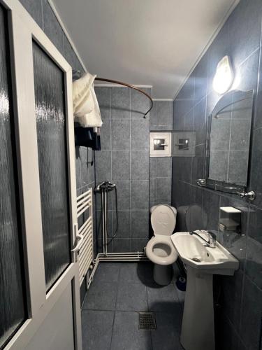 a small bathroom with a toilet and a sink at Casa Iuly in Gârda de Sus