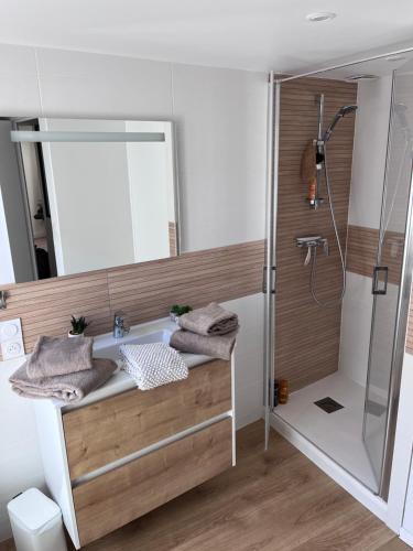 a bathroom with a tub and a shower with a mirror at Le Grain d Or in Blois