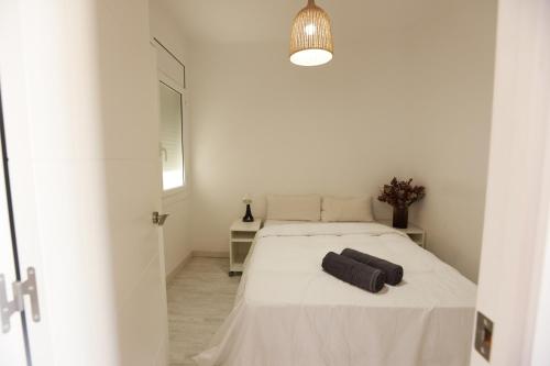 Spacious Modern Apartment in a Beautiful Area