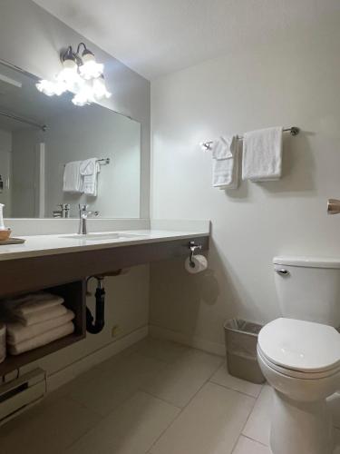 a bathroom with a sink and a toilet and a mirror at Chalet Continental Motel in Valemount