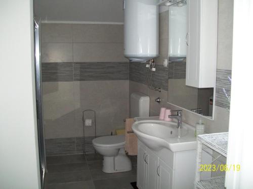 Apartments Franica