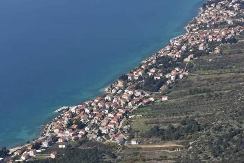 Apartments Franica