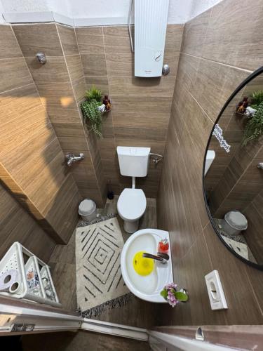a small bathroom with a toilet and a mirror at Apartments Veljanov - Sofra in Negotino