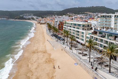 a beach with palm trees and buildings and the ocean at Sesimbra Mar Apartamento in Sesimbra